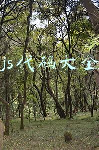 js代码大全