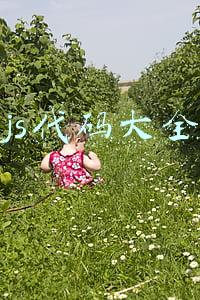 js代码大全