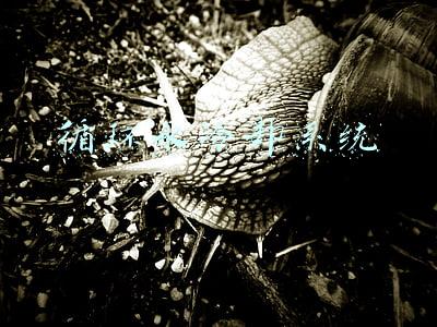 循环水冷却系统