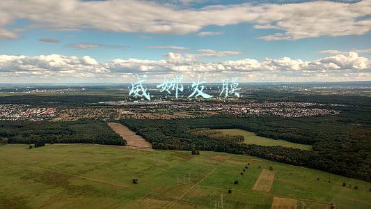 威娜发膜