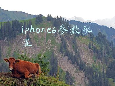 iphone6参数配置