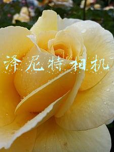 泽尼特相机