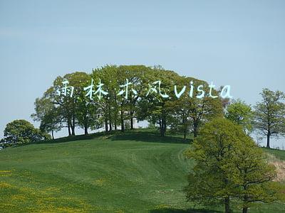 雨林木风vista