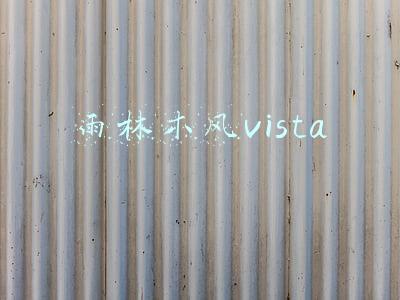 雨林木风vista