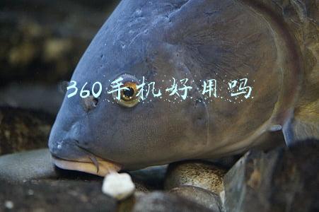 360手机好用吗
