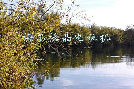 海尔液晶电视机