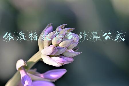 体质指数怎么计算公式