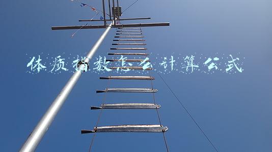 体质指数怎么计算公式