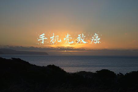 手机壳致癌物超标(苹果、小米等品牌手机保护壳被查出强致癌物！你的手机壳还好吗？)