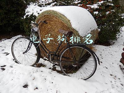 电子狗排名第一什么品牌(什么牌子的车用电子狗好？外媒评出最好的三款车用电子狗)