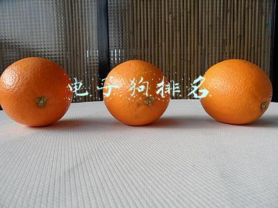 电子狗排名