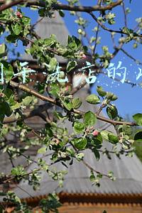 投资干洗店需要多少成本（想开个干洗店得多少钱）