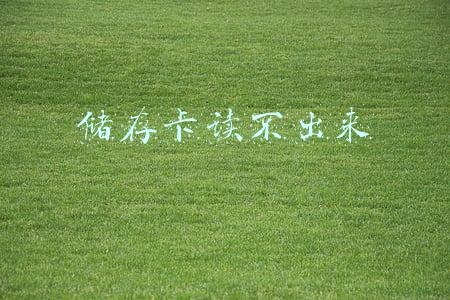 储存卡读不出来