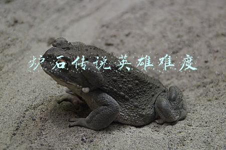 炉石传说英雄难度有什么奖励(炉石传说：乱斗模式「凯尔萨斯之怒」卡组推荐)