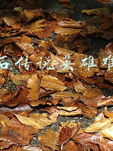 炉石传说英雄难度