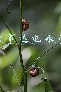 荣事达电水壶价格(百元内小家电合集，谁买谁划算)