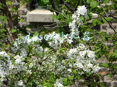 Dyson净化器每天用电量(「科技犬」六款值得买空气净化器盘点：看不见的“威胁”更危险)