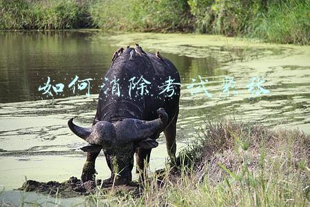 如何消除考试紧张