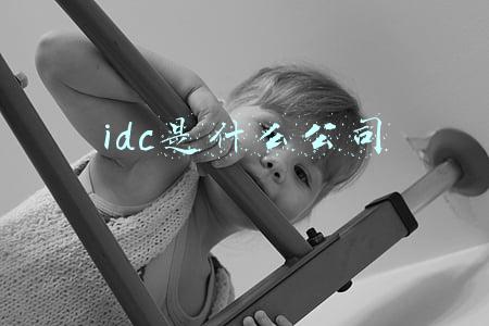 idc是什么公司