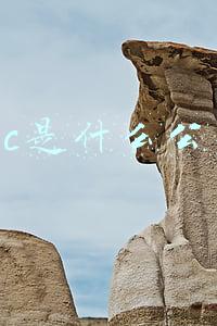 idc是什么公司