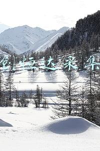 天创恒达采集卡