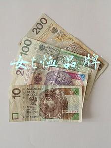 新品t恤女(夏日颂：时尚Girl必备的潮流T恤都在这了)