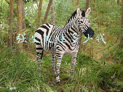 强生美瞳多少钱