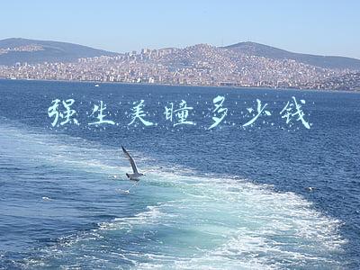 强生美瞳多少钱