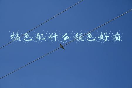 橘色配什么颜色好看