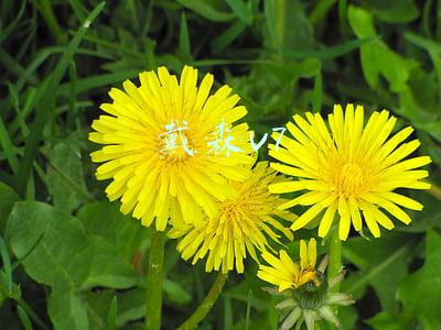 戴森v7吸尘器怎么拆洗(拆到亲妈都认不出——DYSON 戴森 V6 手持吸尘器 清理指南)