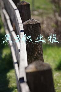暗黑3职业推荐