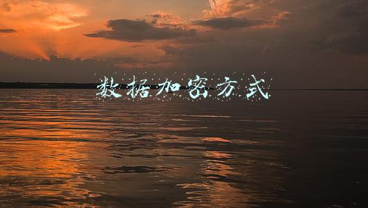 数据加密技术(加密算法革命性突破，数据保护难题得解？)