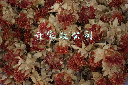 开家政公司
