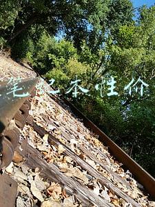 哪个笔记本性价比高