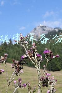 磁带库备份属于(必须高效、耐用，浅析如何为企业打造磁带库备份系统)