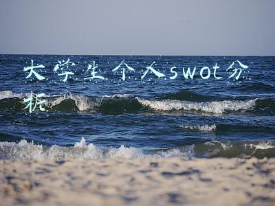 大学生个人swot分析