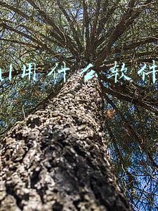 html用什么软件编写