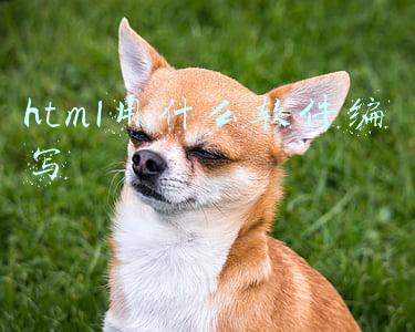 html用什么软件编写