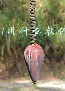 html用什么软件编写