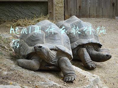 html用什么软件编写