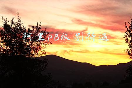 阿里p8级别待遇