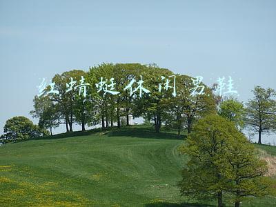 红蜻蜓休闲男鞋