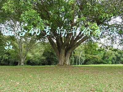 适合40岁的平价护肤品