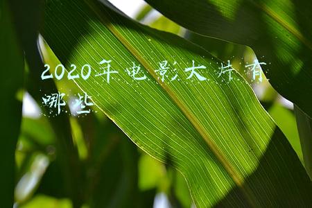 2020年电影大片有哪些 前十名(2021十大院线佳片，《长津湖》第9，《悬崖之上》第6，都值得二刷)