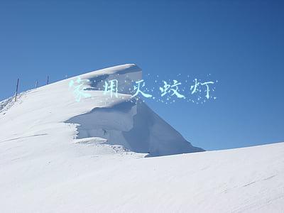 家用灭蚊灯品牌十大排行榜(灭蚊灯有哪些牌子)