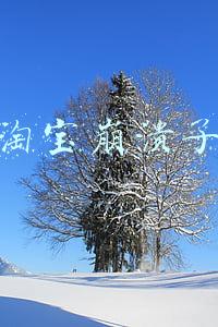 淘宝崩溃了