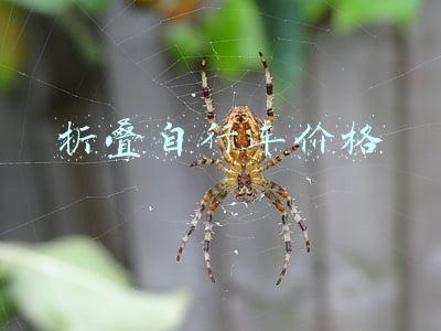 折叠自行车价格