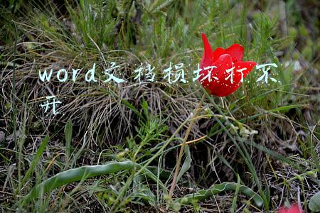 word文档已损坏 无法打开怎么办(Word文件损坏而无法打开的修复方法送给你，方法步骤，操作技巧)