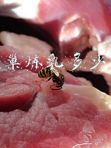 雀巢炼乳多少钱