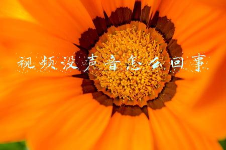 笔记本电脑视频没声音怎么回事(笔记本连接显示器后没声音怎么处理？)